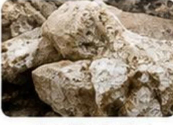 Limestone